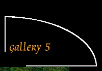 Gallery 5