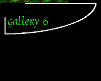 Gallery 6