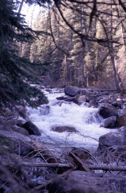 photograph