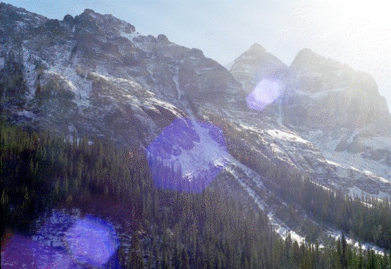 photograph