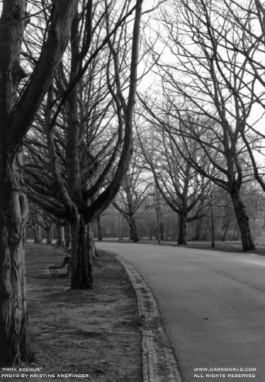 Park Avenue