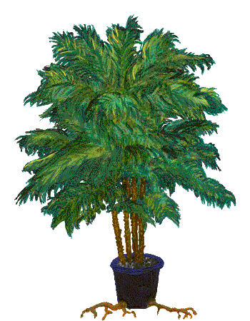 plant