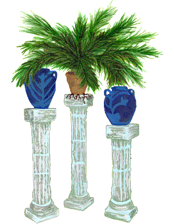 plants