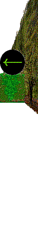 Floral Gardens hedges