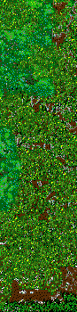 Public Gardens hedges