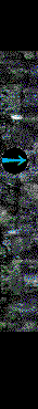 catacombs