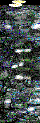 wall